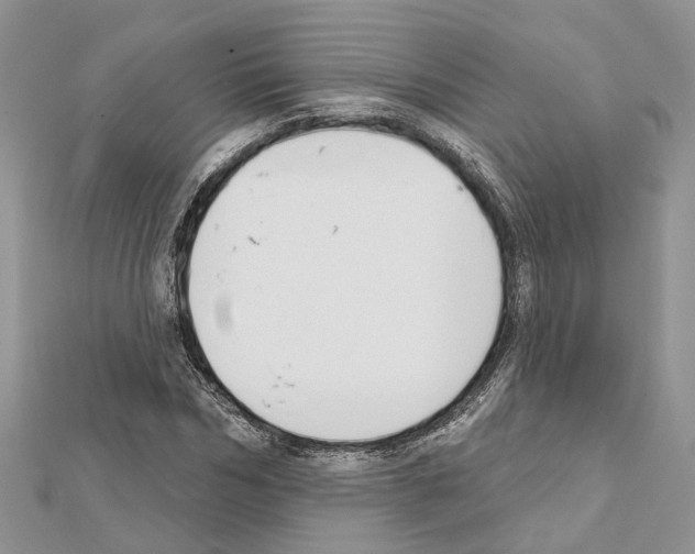 X0000111610970200908281047