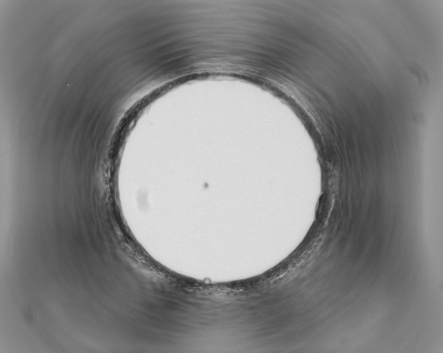 X0000111610971200908281047