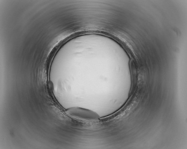 X0000111610973200908281047
