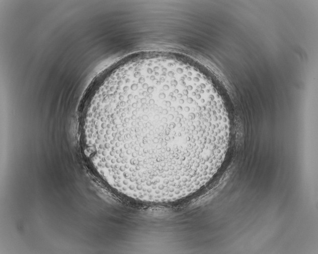 X0000111610974200908281047