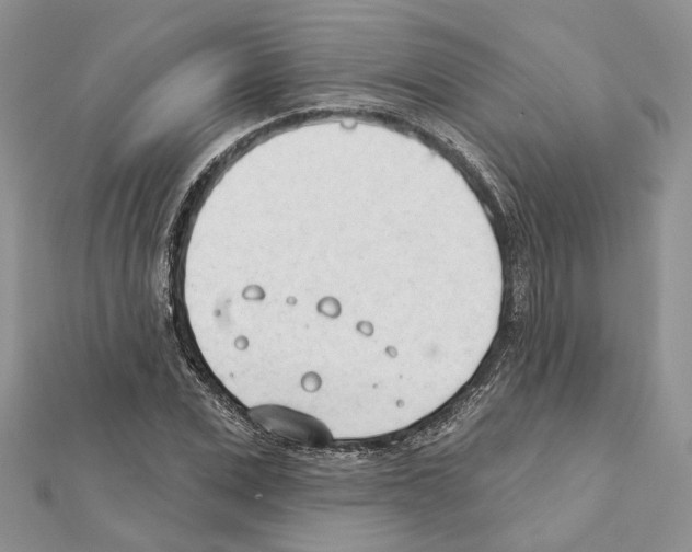 X0000111610975200908281047