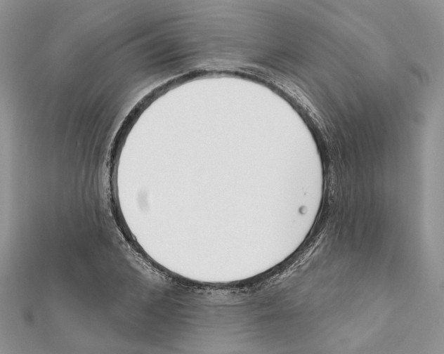 X0000111610976200908281047