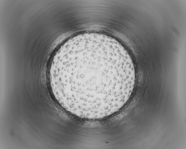 X0000111610978200908281047