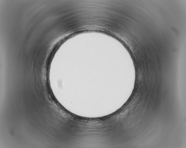 X0000111610979200908281047