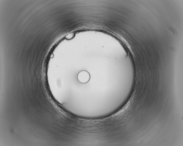 X0000111610981200908281047