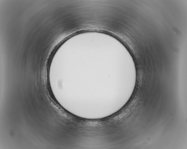 X0000111610982200908281047