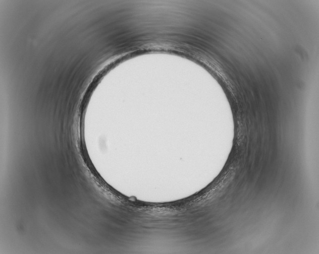 X0000111610984200908281047