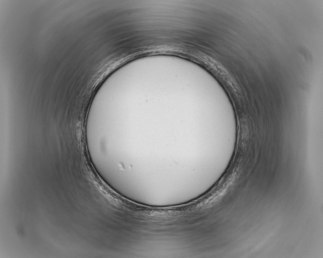 X0000111610985200908281047