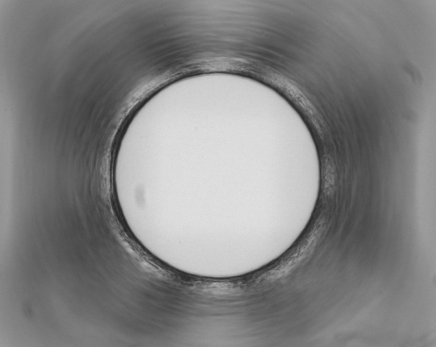 X0000111610986200908281047