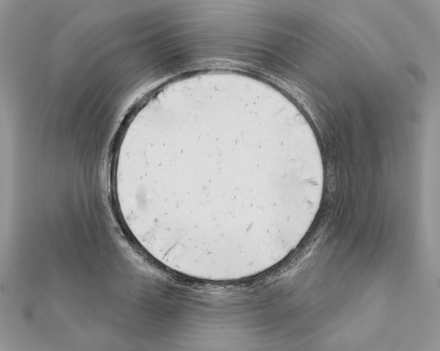 X0000111610987200908281047