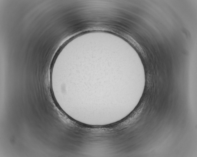 X0000111610988200908281047