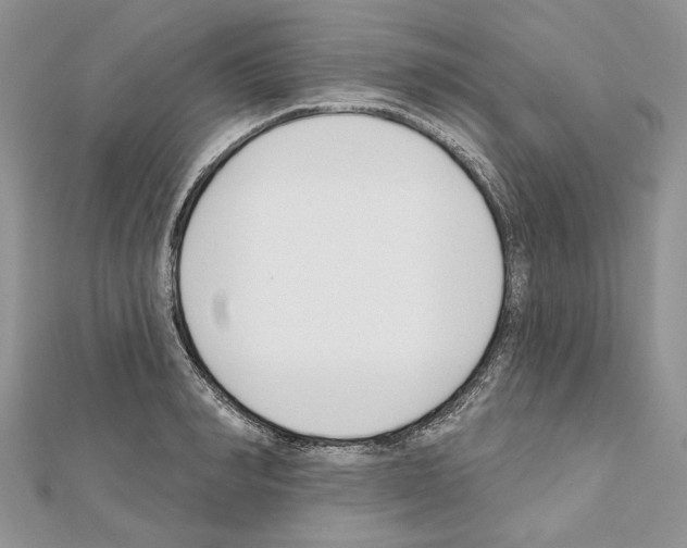 X0000111610990200908281047