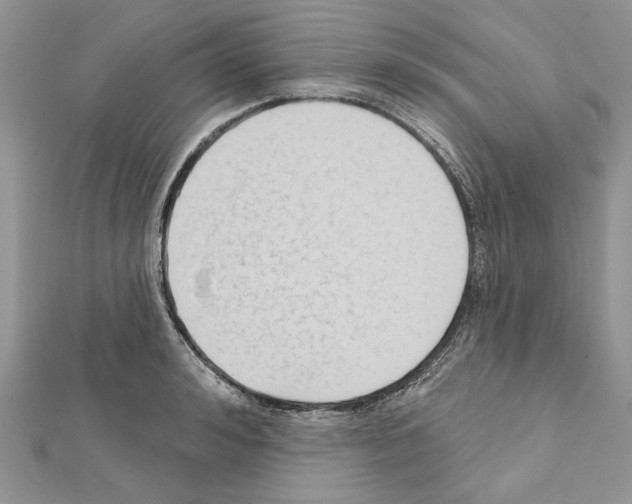 X0000111610992200908281047