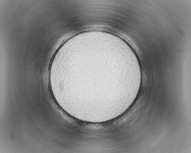 X0000111610994200908281047