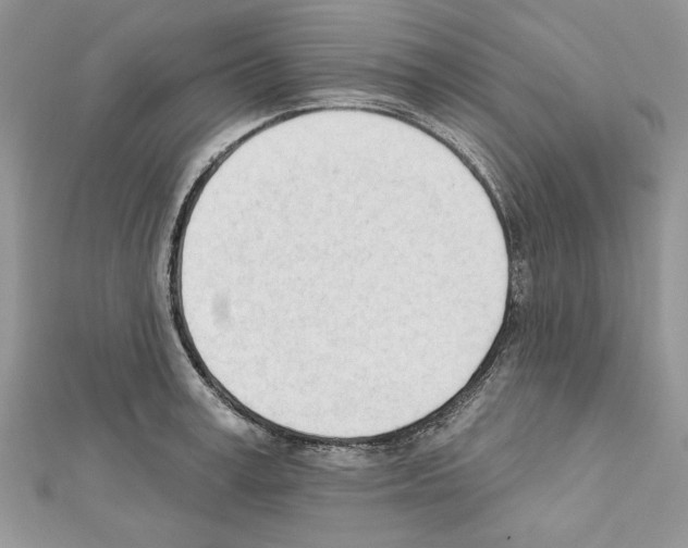 X0000111610995200908281047