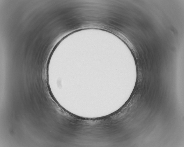 X0000111610996200908281047
