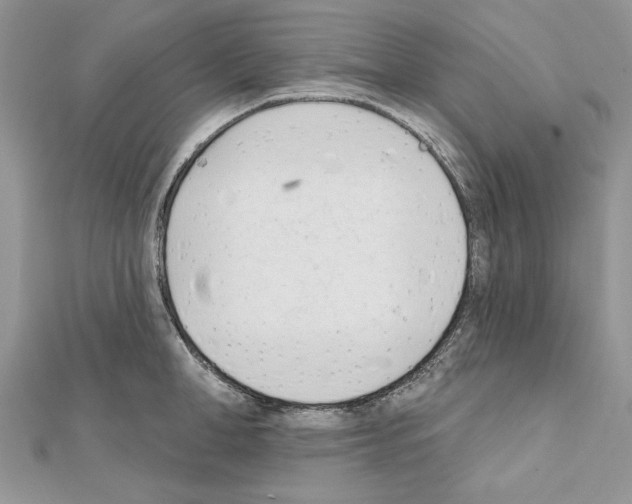 X0000111610998200908281047