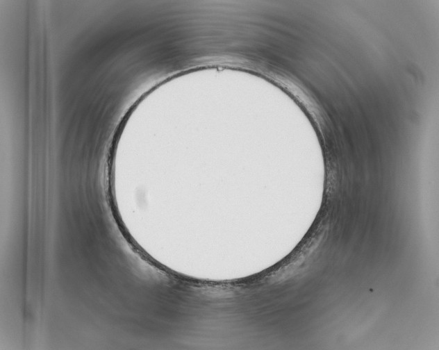 X0000111610999200908281046