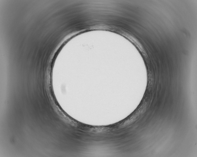 X0000111611000200908281046