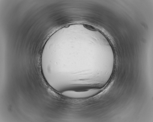X0000111611001200908281046