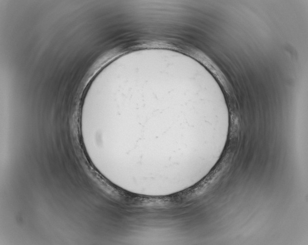 X0000111611002200908281046