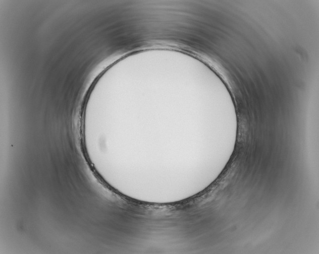 X0000111611003200908281046