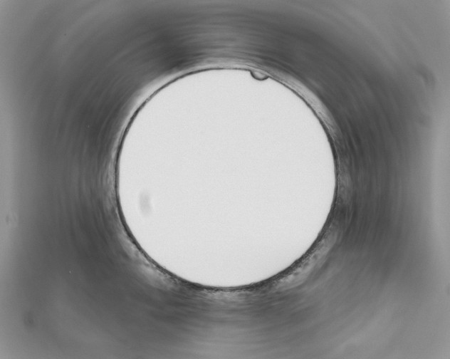 X0000111611004200908281046