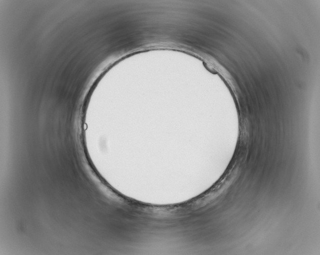 X0000111611005200908281046