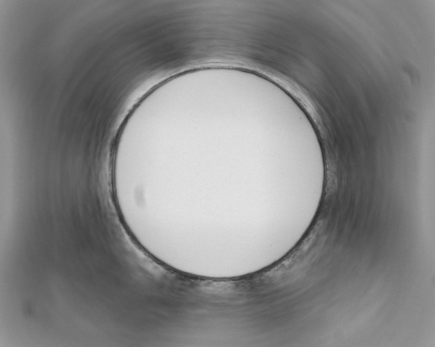 X0000111611006200908281046
