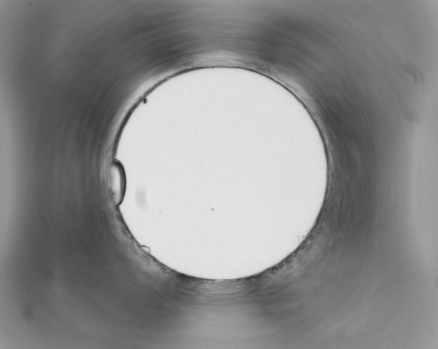 X0000111611008200908281046
