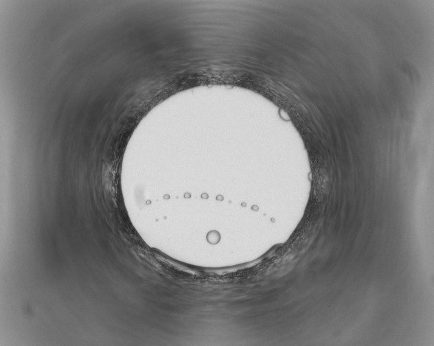 X0000111611010200908281046