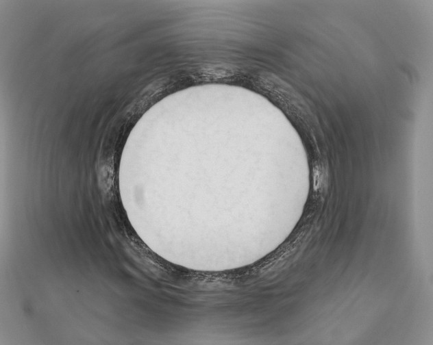 X0000111611011200908281046
