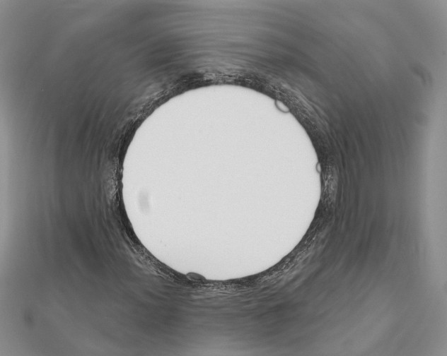 X0000111611012200908281046