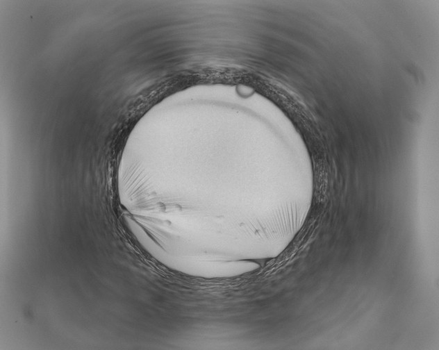 X0000111611013200908281046