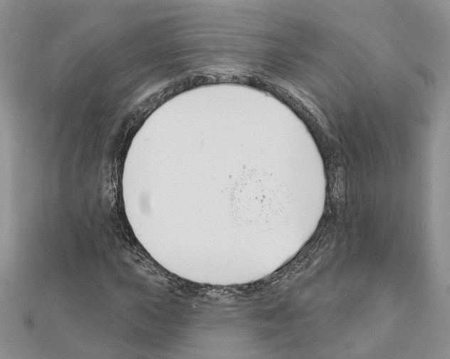 X0000111611015200908281046