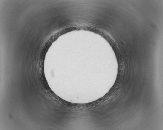 X0000111611016200908281046