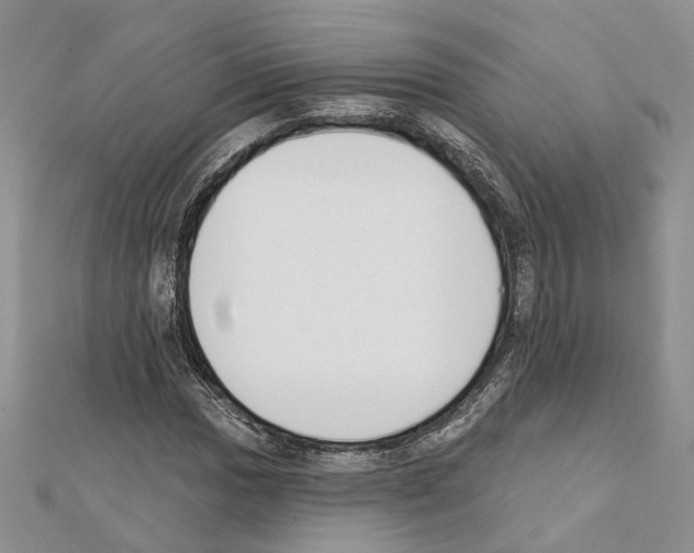 X0000111611017200908281046