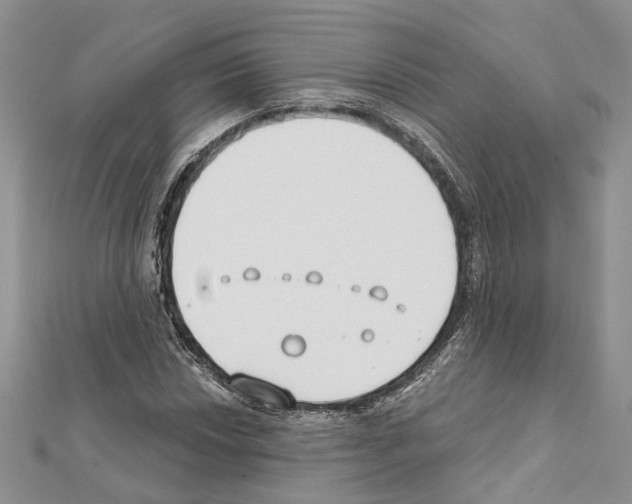 X0000111611018200908281046