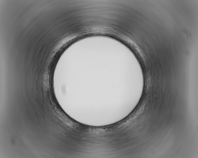 X0000111611019200908281046