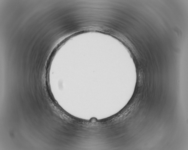 X0000111611020200908281046
