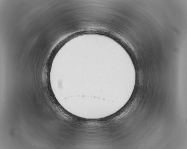 X0000111611021200908281046