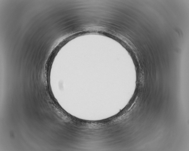 X0000111611022200908281046