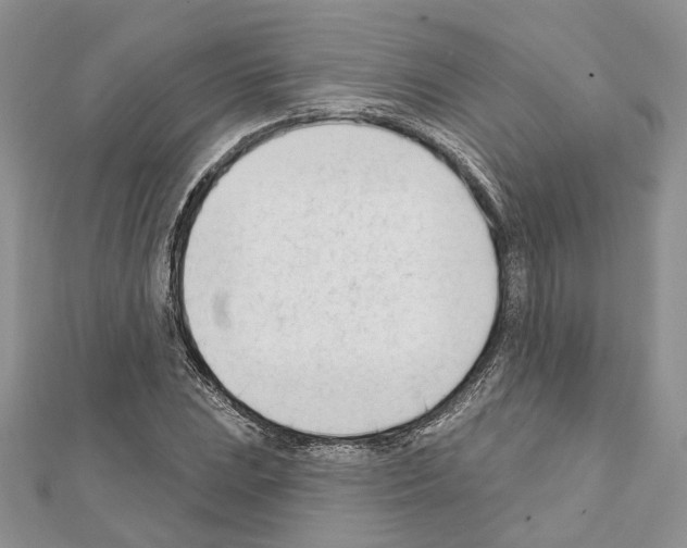 X0000111611023200908281046