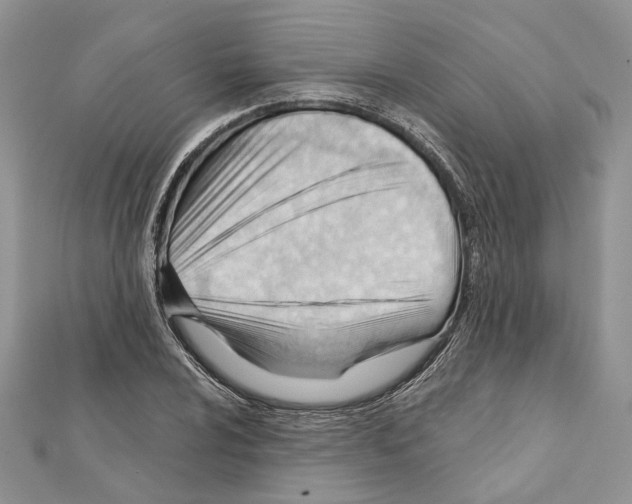 X0000111611024200908281046