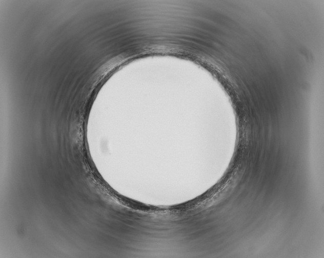 X0000111611025200908281046