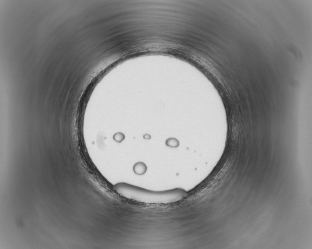 X0000111611026200908281046
