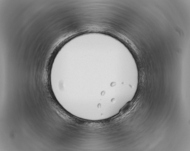 X0000111611027200908281046