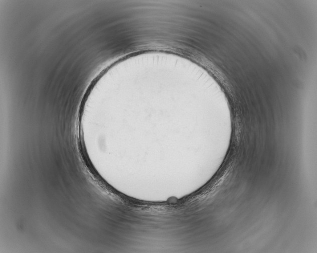 X0000111611028200908281046