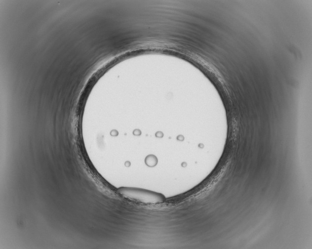 X0000111611029200908281046