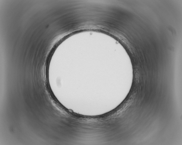X0000111611030200908281046